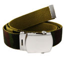 BELT166.jpg