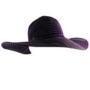 Filename=HAT275.jpg
Filesize=126KiB
Dimensions=650x650
Date added=Jun 04, 2012 HAT275.jpg