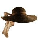 Filename=HAT359.jpg
Filesize=225KiB
Dimensions=650x650
Date added=Jun 04, 2012 HAT359.jpg