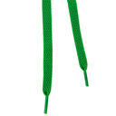 Filename=SL25.jpg
Filesize=65KiB
Dimensions=400x400
Date added=May 12, 2011 SL25.jpg