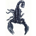 Filename=TT04.jpg
Filesize=88KiB
Dimensions=400x400
Date added=May 12, 2011 TT04.jpg